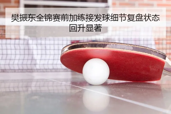 樊振东全锦赛前加练接发球细节复盘状态回升显著