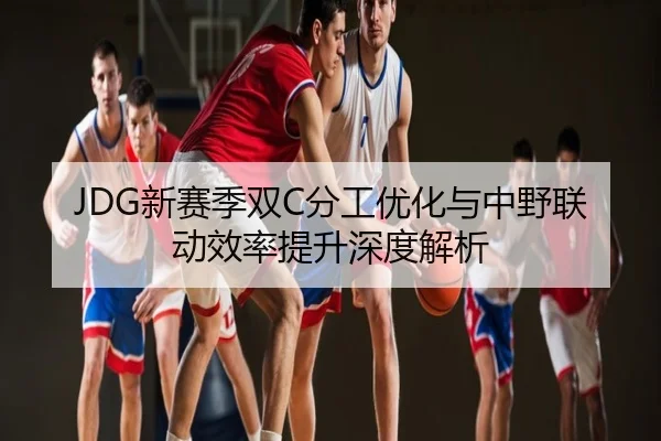 JDG新赛季双C分工优化与中野联动效率提升深度解析